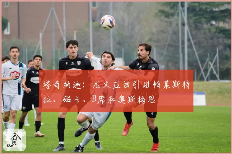 塔奇纳迪：尤文应该引进帕莱斯特拉、磁卡、B席和奥斯梅恩