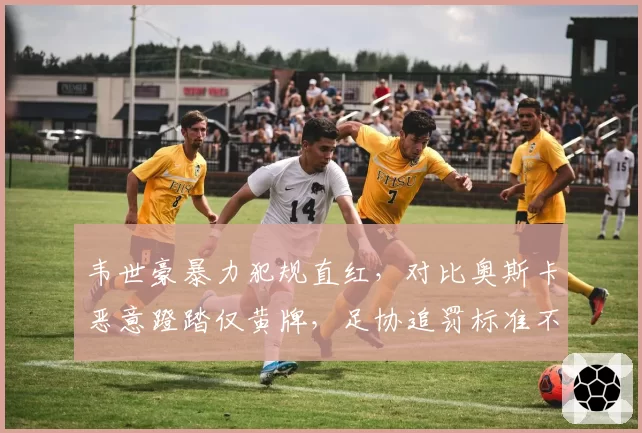 韦世豪暴力犯规直红,对比奥斯卡恶意蹬踏仅黄牌,足协追罚标准不一遭质疑