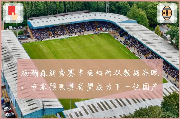 杨瀚森新秀赛季场均两双数据亮眼，专家预测其有望成为下一位国产内线核心
