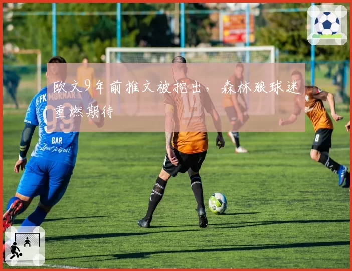 欧文9年前推文被挖出,森林狼球迷重燃期待