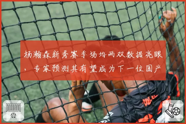 杨瀚森新秀赛季场均两双数据亮眼，专家预测其有望成为下一位国产内线核心